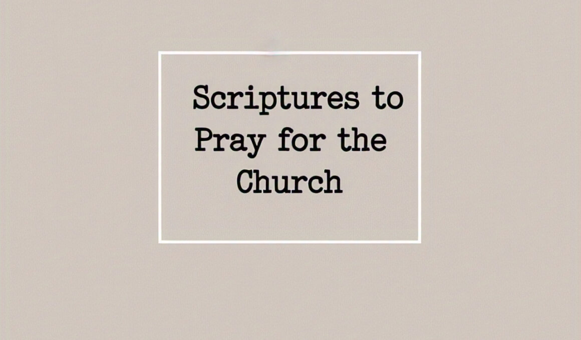 30 Empowering Scriptures to Pray for the Church 2026